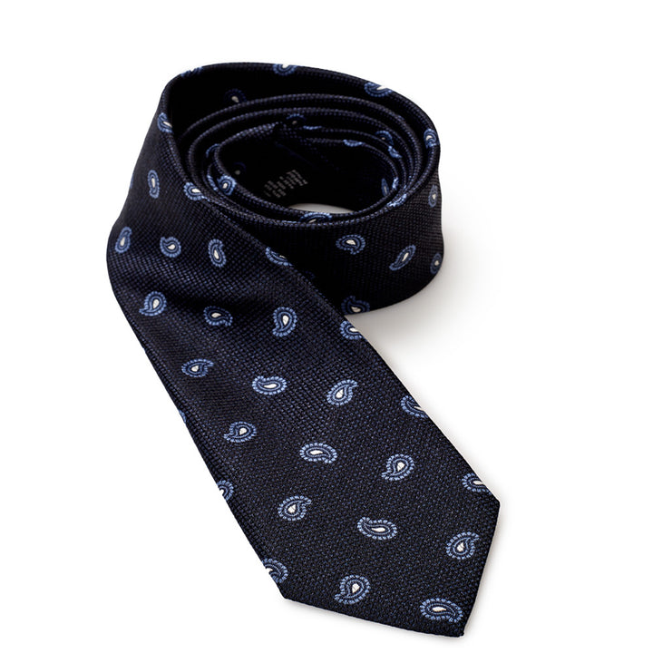 Ermenegildo Zegna Blu Silk Tie with Print