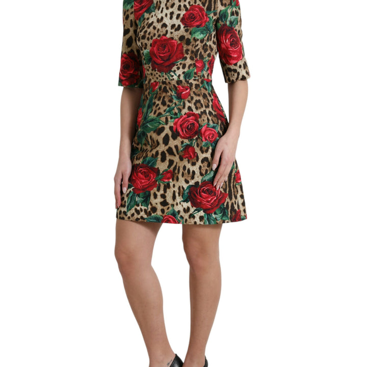 Dolce & Gabbana Brown Leopard Red Roses Cotton A-line Dress