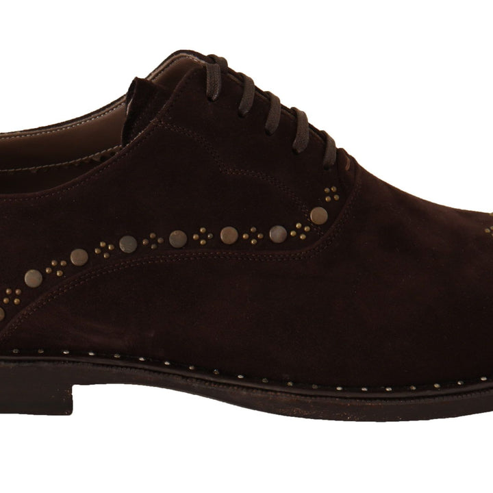 Dolce & Gabbana Brown Suede Marsala Derby Studded Shoes