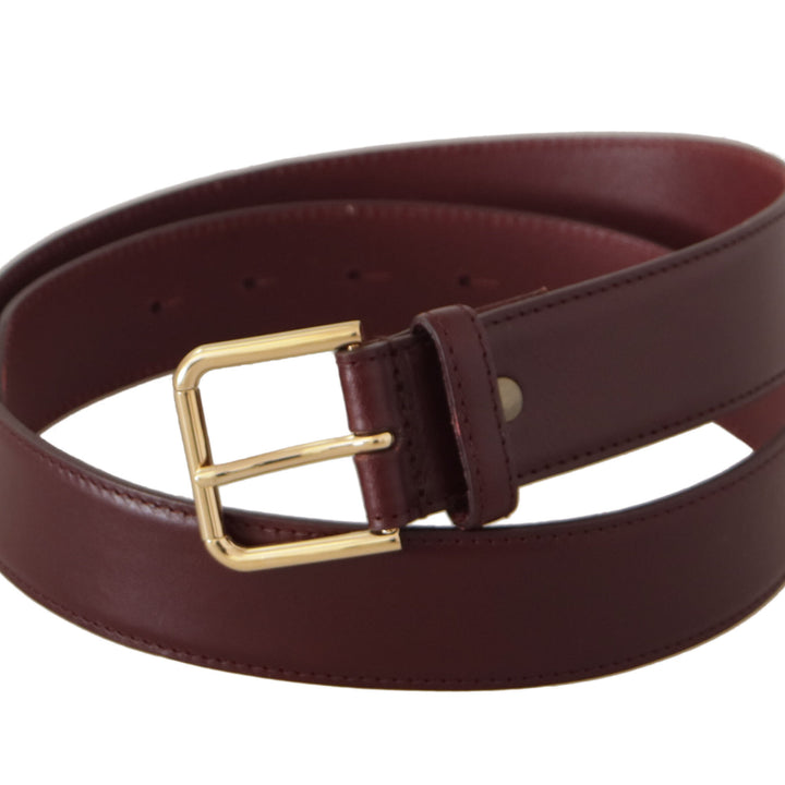 Dolce & Gabbana Brown Calf Leather Gold Tone Metal Buckle Belt