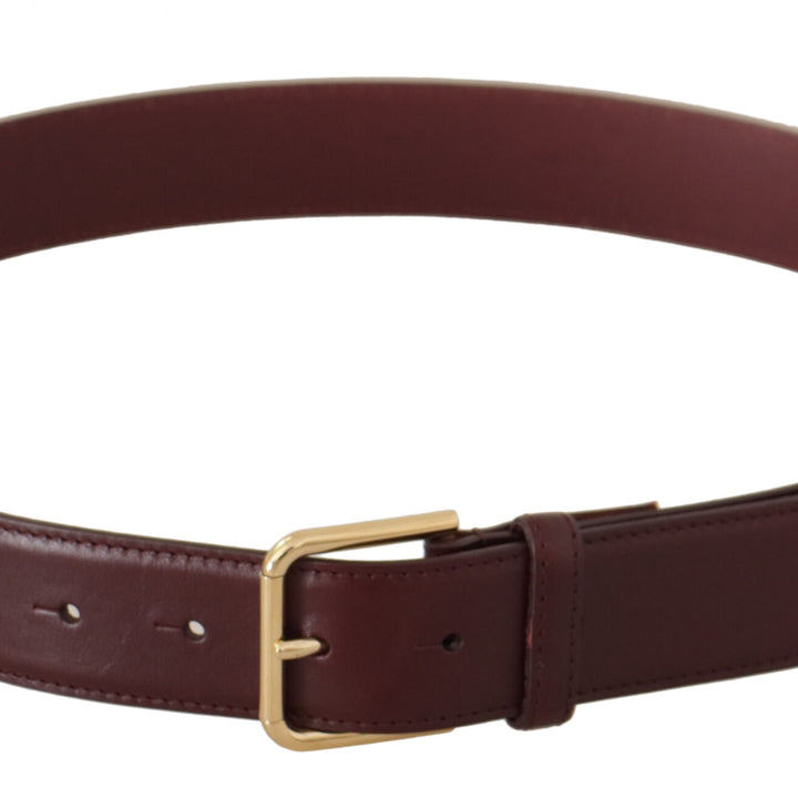 Dolce & Gabbana Brown Calf Leather Gold Tone Metal Buckle Belt