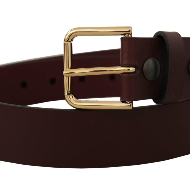 Dolce & Gabbana Brown Calf Leather Gold Tone Metal Buckle Belt
