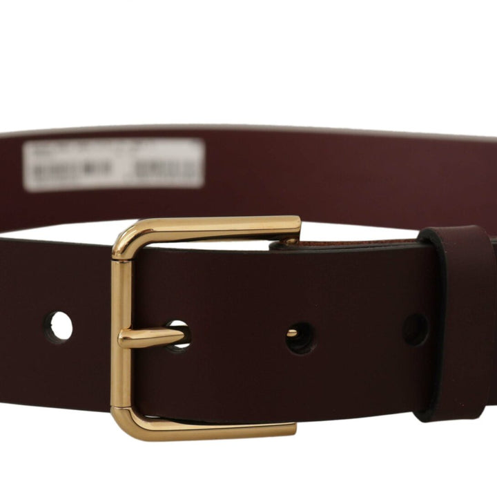 Dolce & Gabbana Brown Calf Leather Gold Tone Metal Buckle Belt