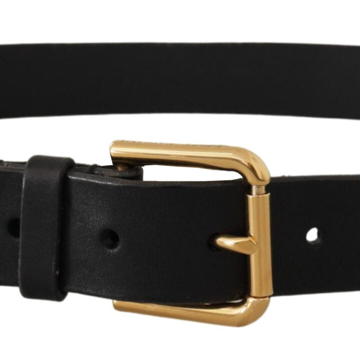 Dolce & Gabbana Brown Classic Leather Gold Metal Buckle Belt