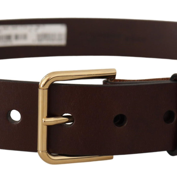 Dolce & Gabbana Brown Polished Leather Gold Tone Metal Buckle Belt