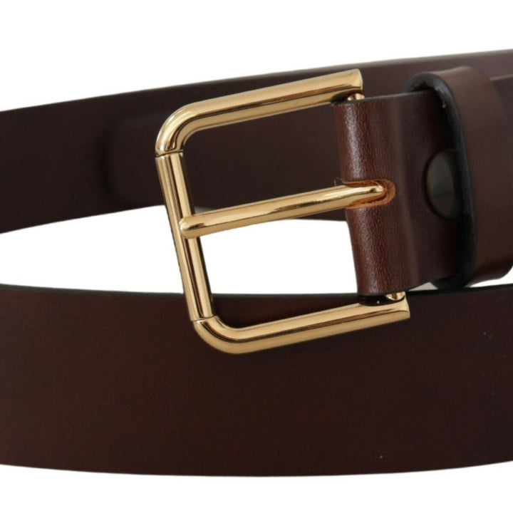 Dolce & Gabbana Brown Plain Calf Leather Gold Tone Buckle Belt