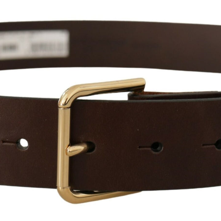 Dolce & Gabbana Brown Plain Calf Leather Gold Tone Buckle Belt