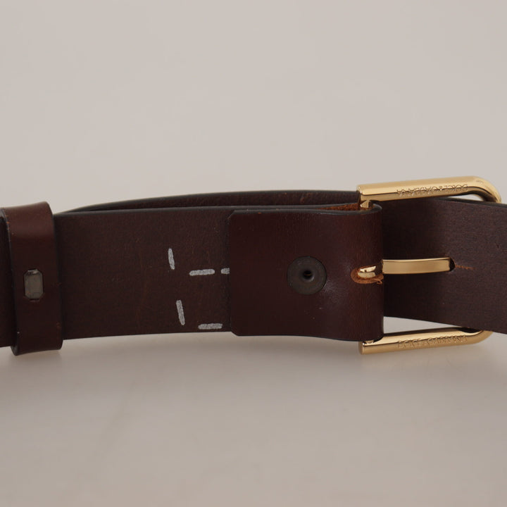 Dolce & Gabbana Brown Plain Calf Leather Gold Tone Buckle Belt