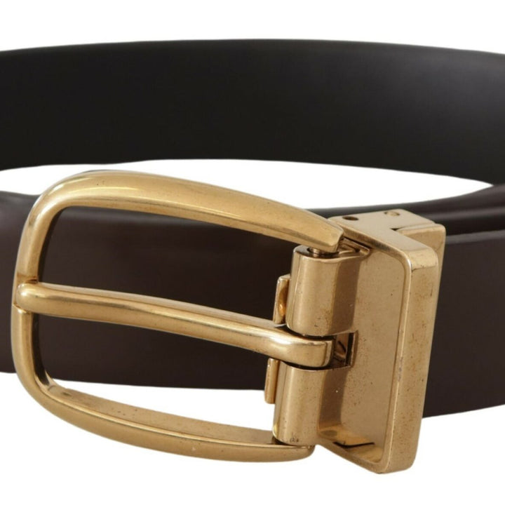 Dolce & Gabbana Brown Calf Leather Gold Tone Metal Buckle Belt