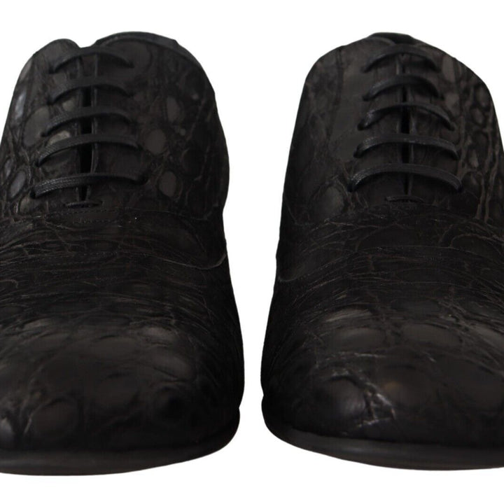 Dolce & Gabbana Black Caiman Leather Mens Oxford Shoes