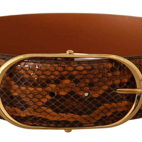 Dolce & Gabbana Brown Exotic Leather Gold Oval Buckle Belt